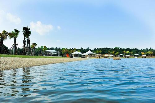 FLAMINGOS Villa Happy BT