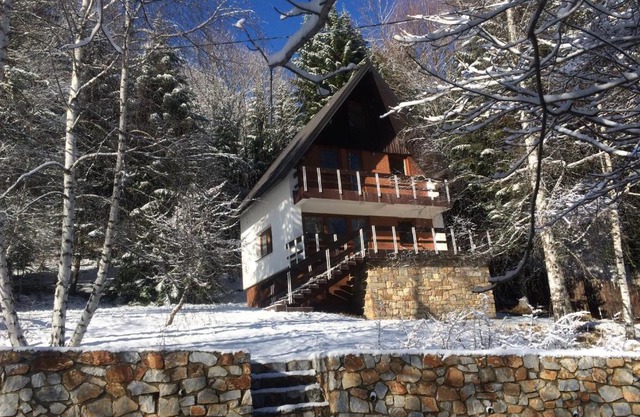 Forest Villa