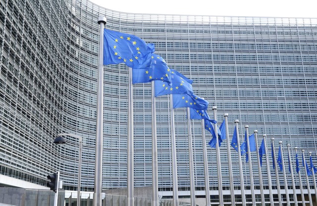 Fresh New EU COMMISSION area apartment