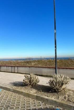 Mare E Pineta Lido Di Spina 
