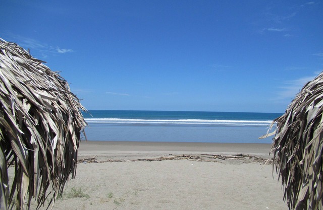 Full, Furnished Apartment with an Ocean View