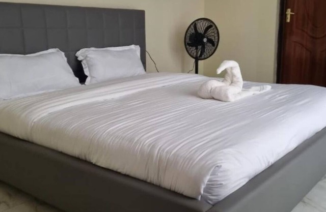 Furnished apartments in Migori : Deluxe Double Roomn