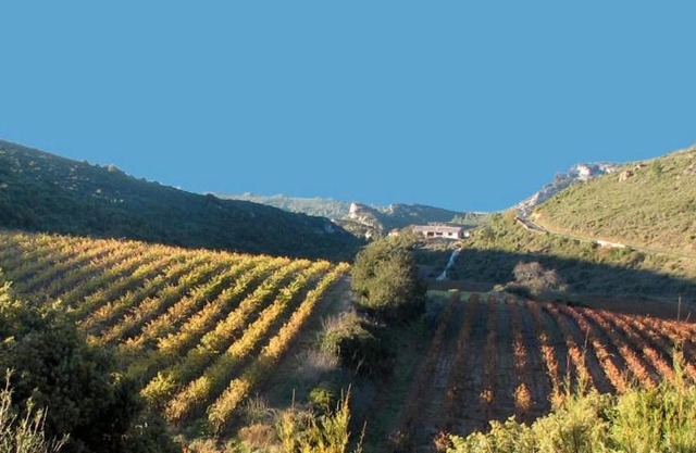 Gîte dans ancienne bergerie en pleine garrigue