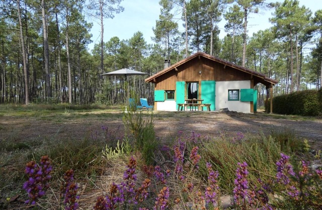 Gîte Vert - Luxey - Gîte