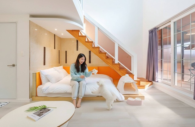 Gapyeong Santa Maria Dog-friendly Privat