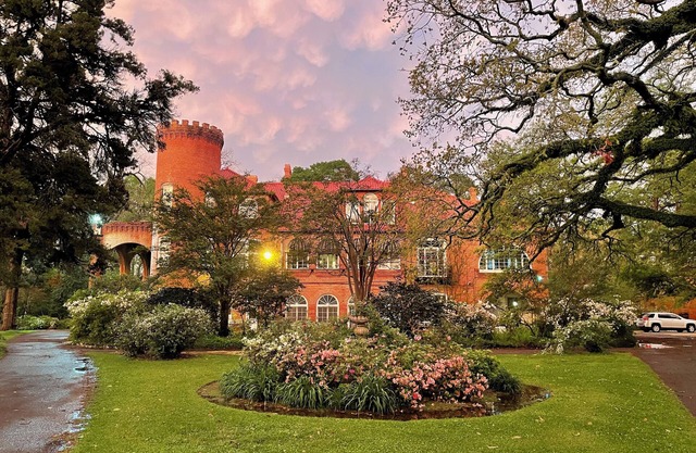 Garden Tower 1bdrm Suite at Layton Castle