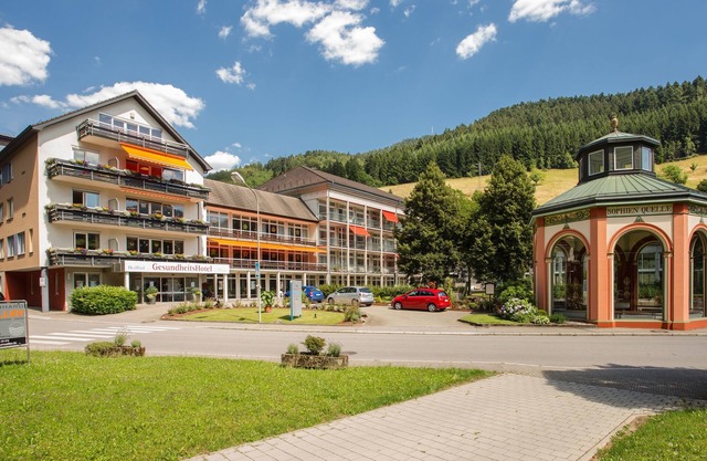 GesundheitsHotel Das Bad Peterstal