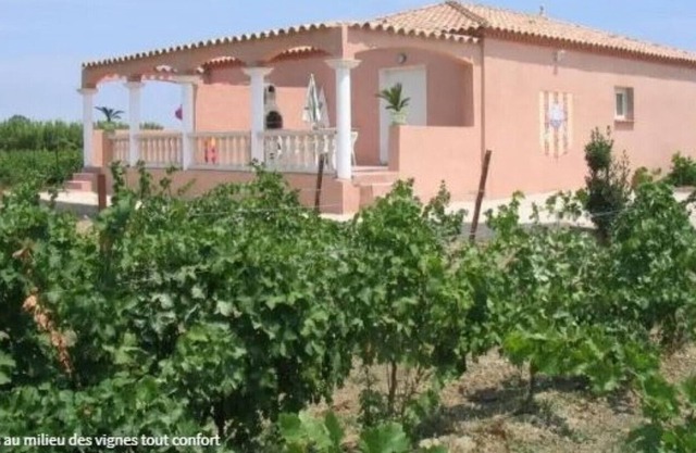 Gite 3 in the heart of 6 acres of vineyard - Saint-Laurent-de-la-Salanque