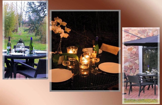 Gite Prosper 15 minutes from Colmar and Mulhouse, sleeps 7, garden, SPA