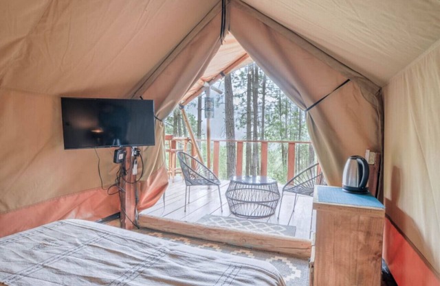Glamping experience surrounded by nature