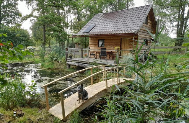 Glamping pod hradem