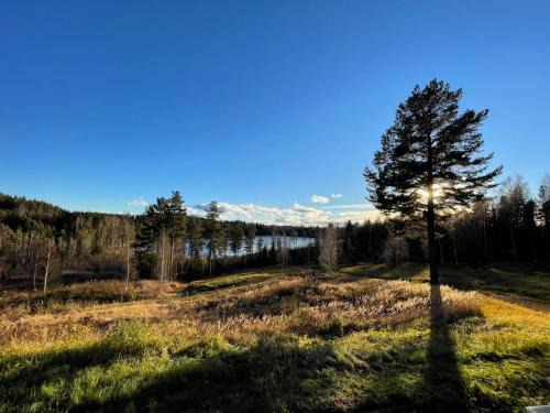 Glamping tent in a forest, lake view