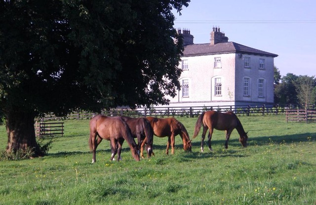 Glebe House
