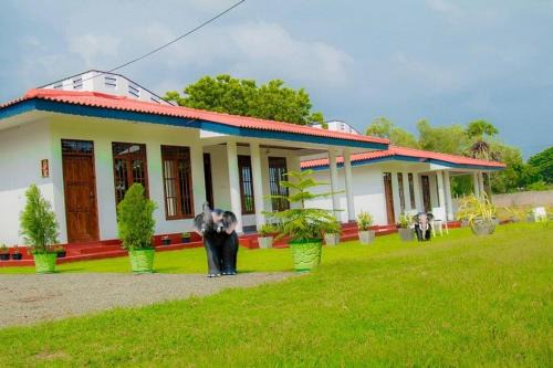 GOLDEN TEMPLE VILLA ,Nilaveli Rd, Trincomalee