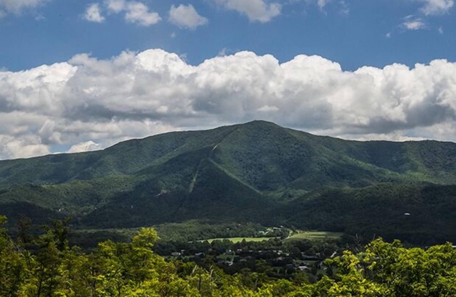 GORGEOUS 1 Bedroom Cabin W/Killer Mountain Views Only 25ft From GSMNP Boundry