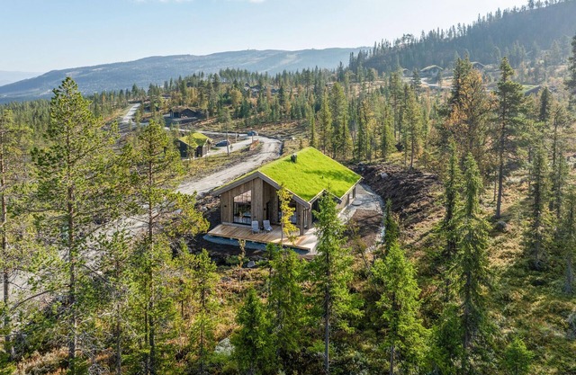 Gorgeous home in Nesbyen with WiFi