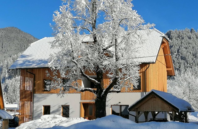 Gorski raj* - apartment with two bedrooms