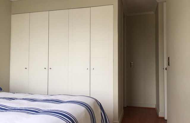 Great And Cozy Apartment In Downtown Santiago