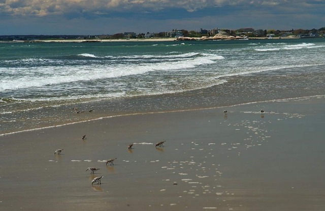 Great weeks in Aug and Sept nLess than 5 min walk to beach at end of street