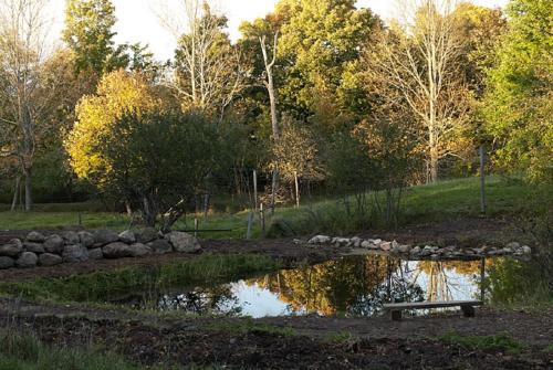 Green Dragon Organic Farm and B&B