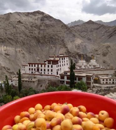 Green Land Guest House Ladakh by LexStays