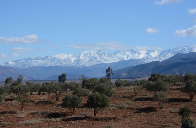 Guest farm with panoramic view of the High Atlas - near Marrakech