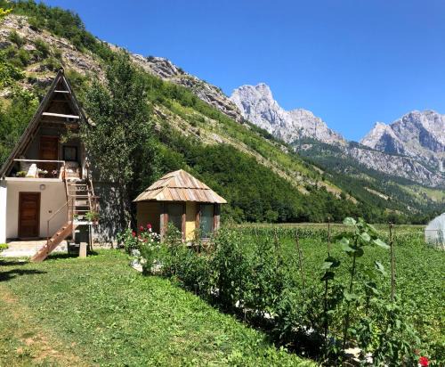 Guest House Ledio