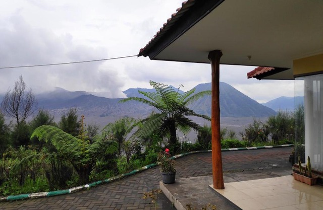 Guesthouse Gunung Bromo