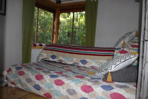 Habitaciones en el bosque LLiwin ko Alto Biobio