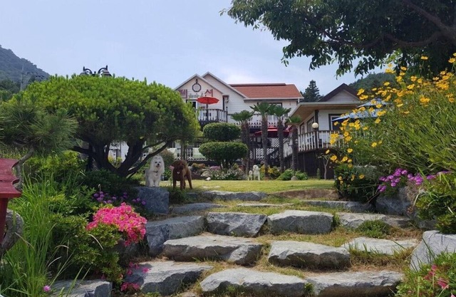 Haemaru pension