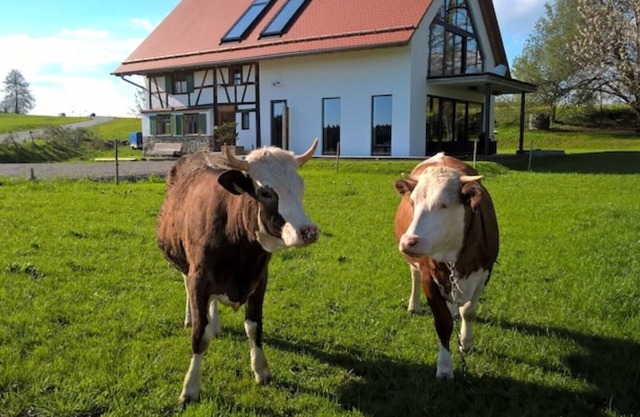 Half-timbered house in the Allgäu with mountain views in a secluded location, gr. Garden & Sauna, Lake Constance