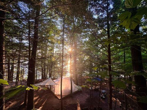 Hammock Haven Island Dome