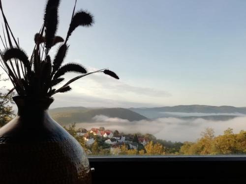 Haus Blick am Edersee 4P