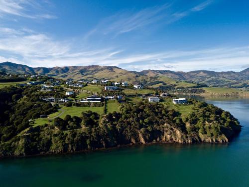 Hector Tiny Akaroa Holiday 