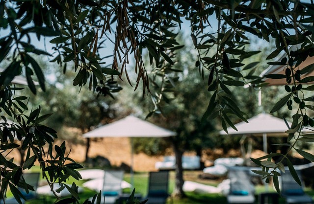 Herdade Da Cortesia Hotel