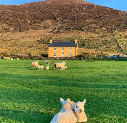Hidden Hills Waterville - Private Farmhouse
