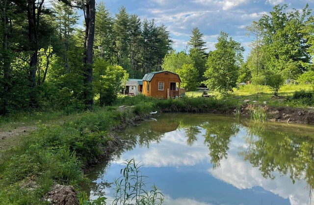 HideAway Tiny Cabin. In the Mountains AC Bathroom. Shower. nDog Friendly.