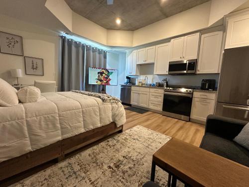 High Rise Downtown Apartment