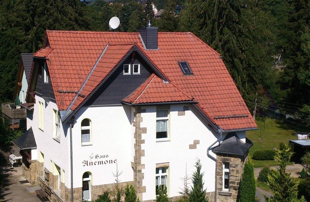 Hiking and reading holidays in an Art Nouveau villa in the Hochharz