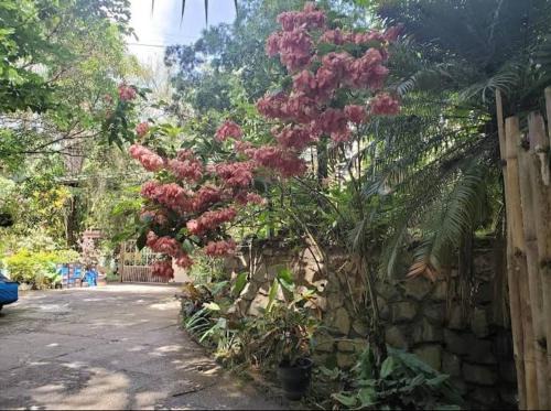 Hillcrest Sanctuary