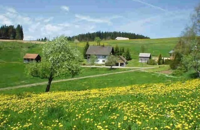 Holiday apartment Titisee-Neustadt for 1 - 5 persons with 2 bedrooms - Holiday apartment