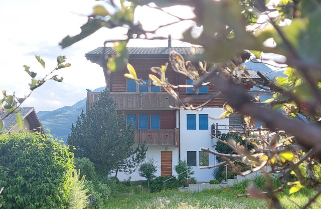 Holiday apartment Bellwald for 1 - 4 persons with 2 bedrooms - Holiday apartment