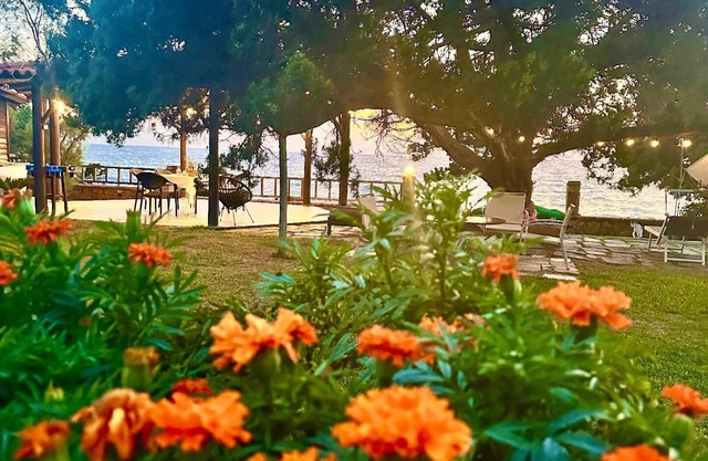 Holiday apartment Leventochori for 1 - 4 persons with 1 bedroom - Holiday apartment in one or multi-
