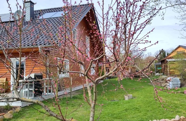 Holiday apartment in the wooden house