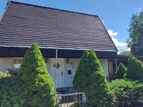 Holiday home in Bad Mitterndorf - Steiermark 41125