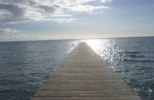 Holiday 