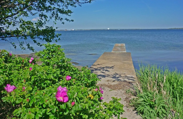 Holiday house Drottningskär for 1 - 4 persons with 2 bedrooms - Holiday home