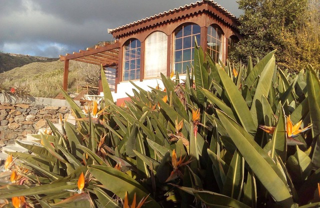 Holiday house Fajã da Ovelha for 1 - 2 persons with 1 bedroom - Farmhouse