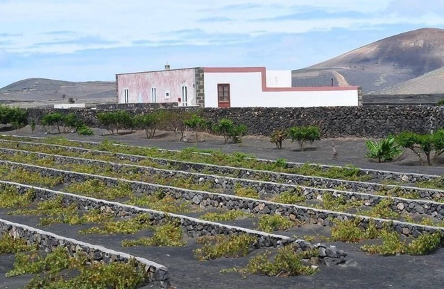 Holiday San Bartolomé 