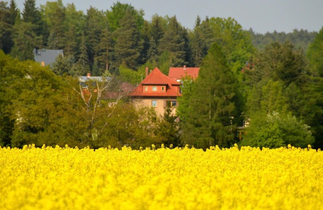 Holiday in the heart of Saxony in the Dahlen Heath between Leipzig and Dresden